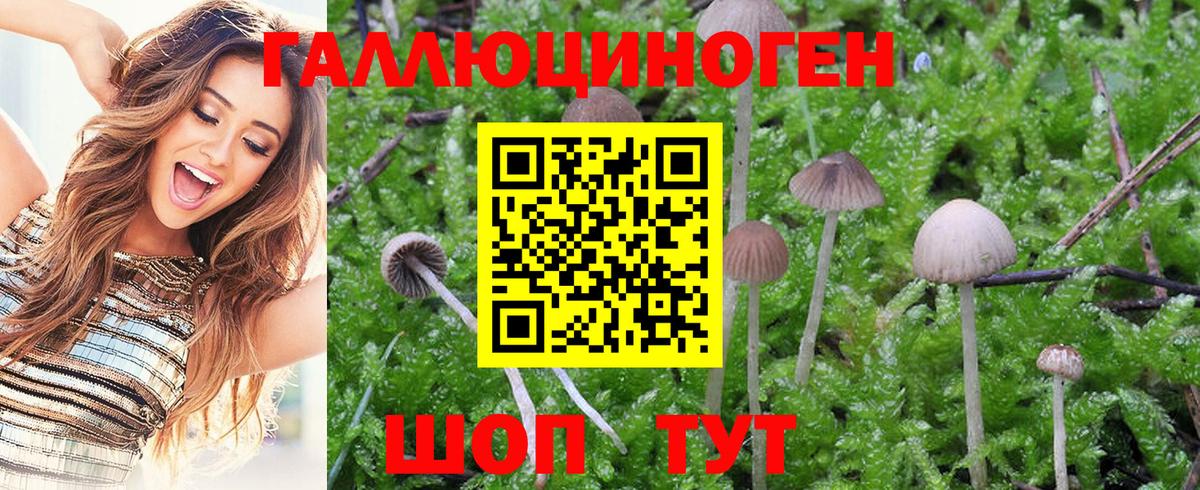 Псилоцибиновые грибы прущие грибы  Галлюциногенные грибы GOLDEN TEACHER  где можно купить наркотик  Вход с VPN  Пермь 